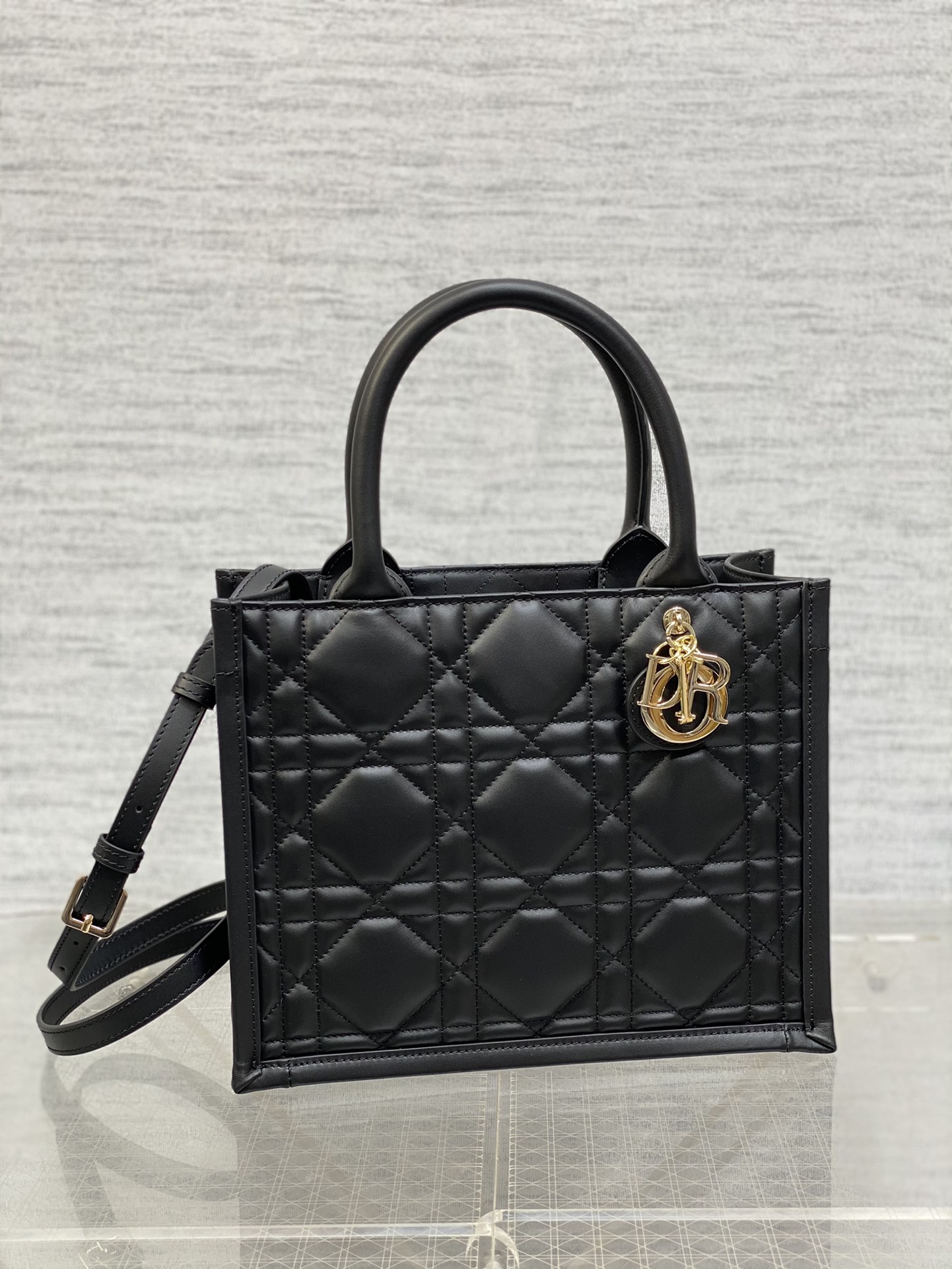 Dior Book Tote