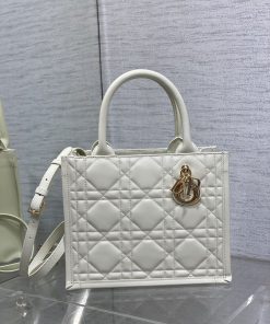 Small Dior Book Tote Latte Pale Gold-Tone Metal 22.0 × 14.0 × 26.5 CM