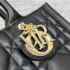 Dior Book Tote