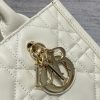 Dior Book Tote