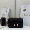 Dior Caro