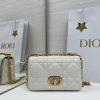 Dior Caro