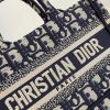 Dior Book Tote