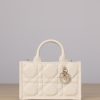 Dior Book Tote