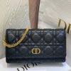 Dior Caro