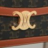 Triomphe Bag Classique