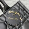 Dior Book Tote