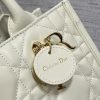 Dior Book Tote