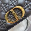 Dior Caro