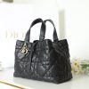 Dior Toujours