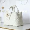 Dior Toujours