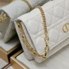 Dior Caro