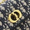 Dior Caro