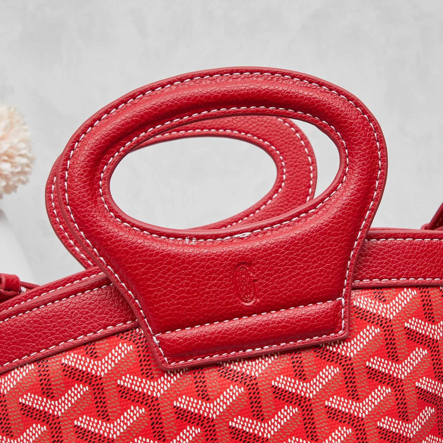 Beluga - Image 3