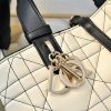 Dior Toujours