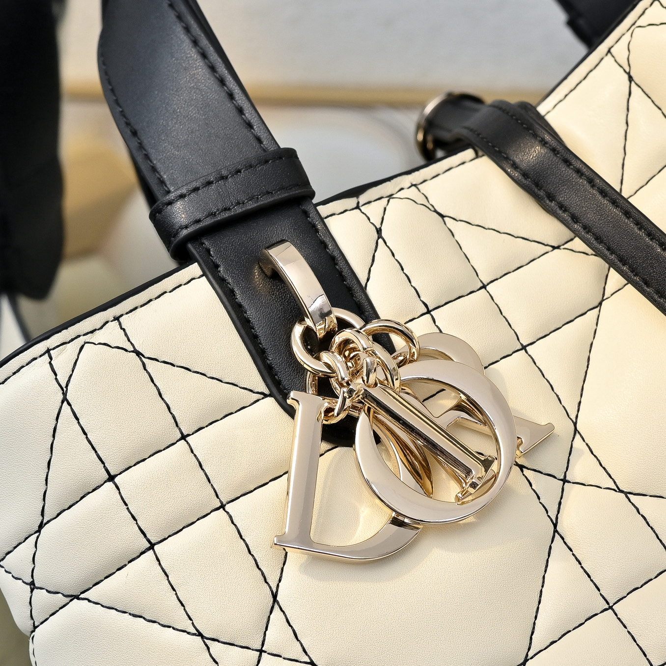 Dior Toujours - Image 4