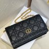 Dior Caro
