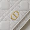 Dior Caro