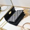 Dior Caro