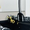 Dior Book Tote