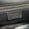 Dior Caro
