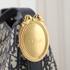 Dior Médaillon