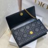 Dior Caro