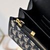Dior Caro