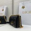 Dior Caro
