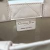 Dior Book Tote