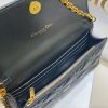 Dior Caro