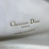 Dior Jolie