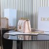 Dior Caro