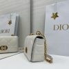 Dior Caro