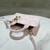 Dior Book Tote