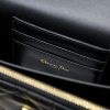 Dior Caro