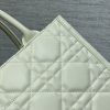 Dior Book Tote