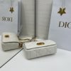 Dior Caro