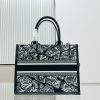 Dior Book Tote