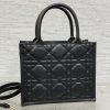 Dior Book Tote