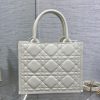 Dior Book Tote