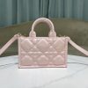 Dior Book Tote
