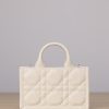 Dior Book Tote