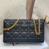 Dior Caro
