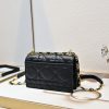 Dior Caro