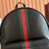 Web Trademark Large Backpack